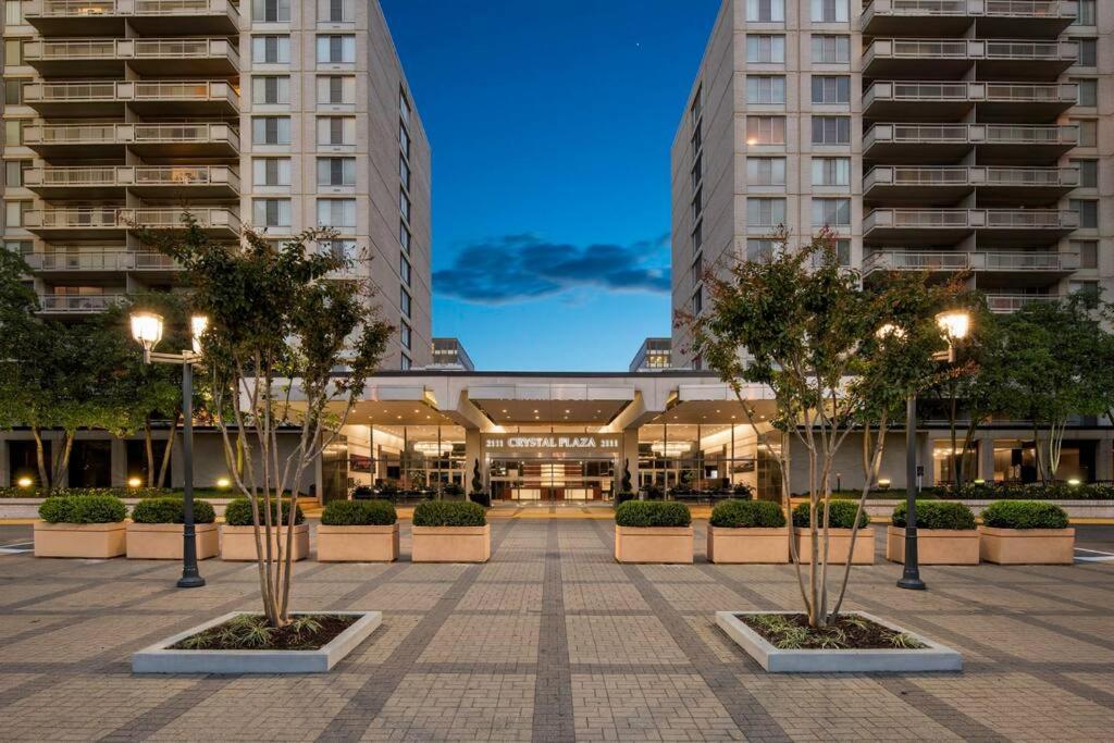 Modern At Crystal *